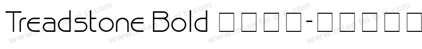 Treadstone Bold 字体下载字体转换